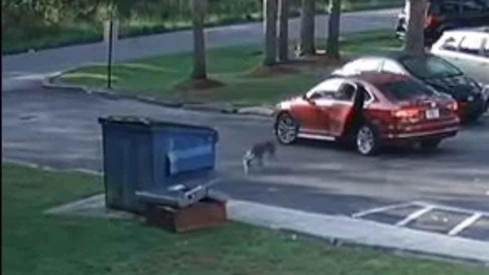 Ankle Monitor Data Leads to Arrest After Man Is Caught on Camera Abandoning Dog