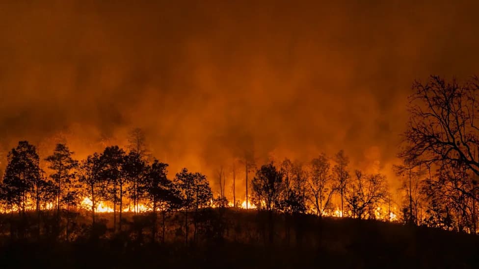 Survivors Say Utility-Funded Campaign Misled Californians — Renewed Fight Over Who Pays For Wildfires