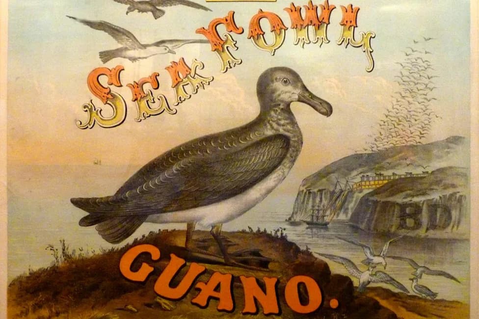 How Bird Guano Fueled Modern Farming — And Helped Build American Power