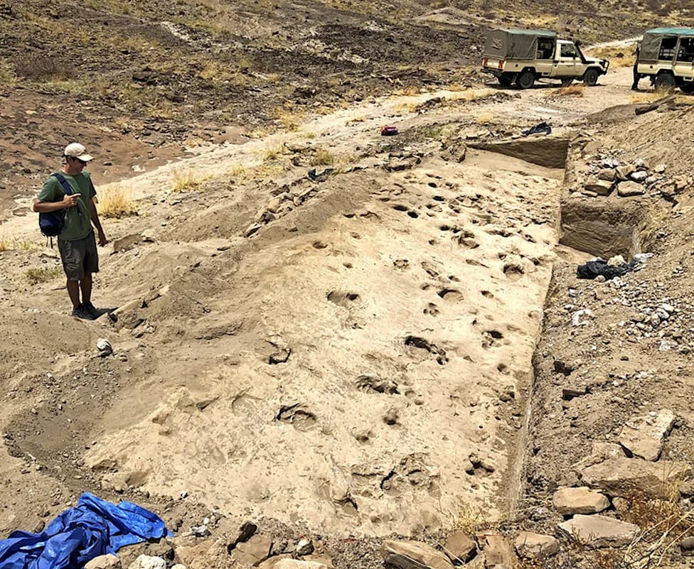Fossil Footprints Reveal Tall, Social Paranthropus at Lake Turkana — A 1.43 Million-Year-Old Snapshot