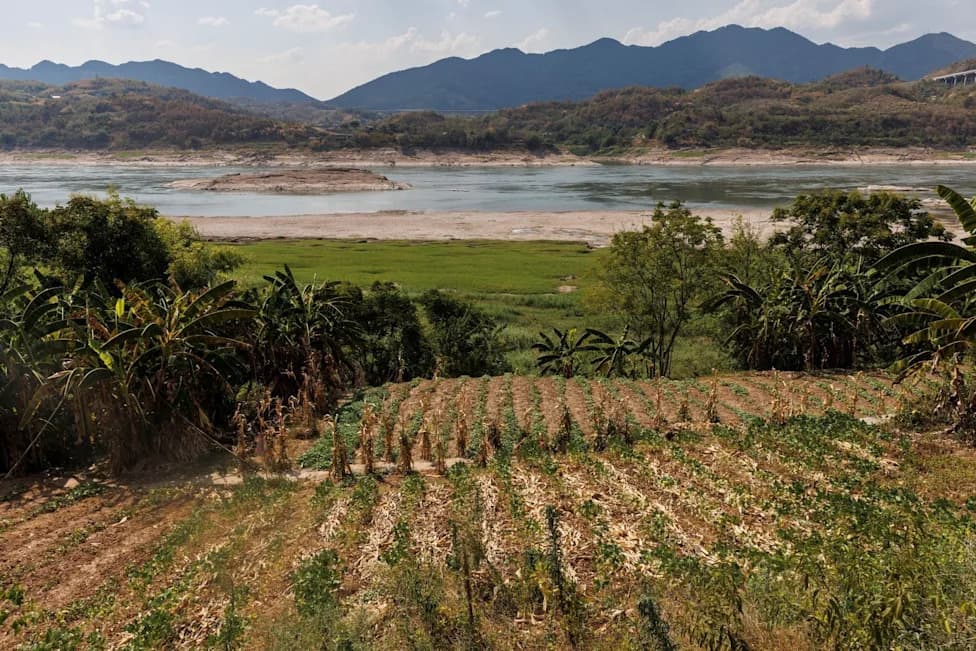 Yangtze River Biomass Triples After 2021 Fishing Ban, Signaling Major Ecological Recovery