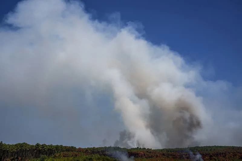 Explainer: France Records Its First 'Fire-Cloud' — What Is a Pyrocumulonimbus?