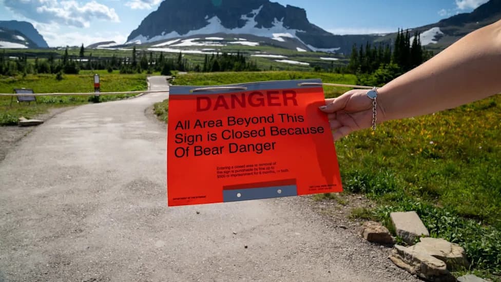 Glacier National Park Will Not Remove Grizzly Linked to Fatal Hiker Encounter