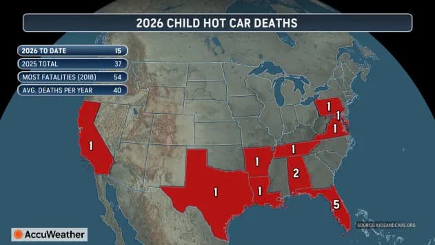 Texas Father Charged With Capital Murder After 2-Year-Old Found Dead In Hot Car