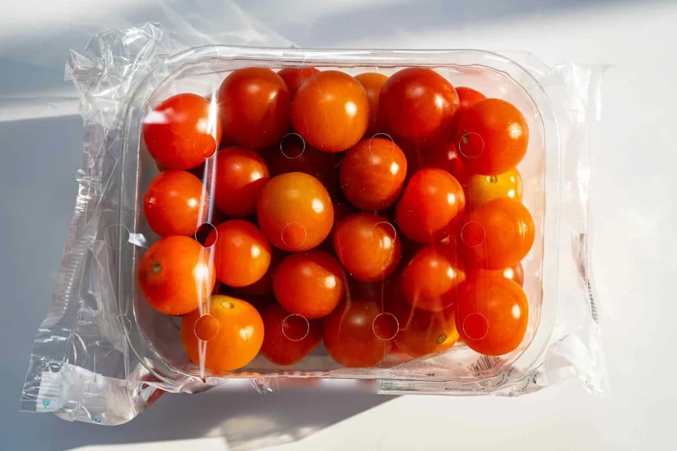 Could Pumpkin Peel Replace Plastic Wrap? Researchers Develop Biodegradable Film From Food Waste