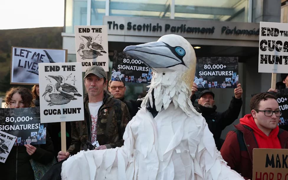 Guga Hunt Ban: Clash Over Tradition, Conservation and Community