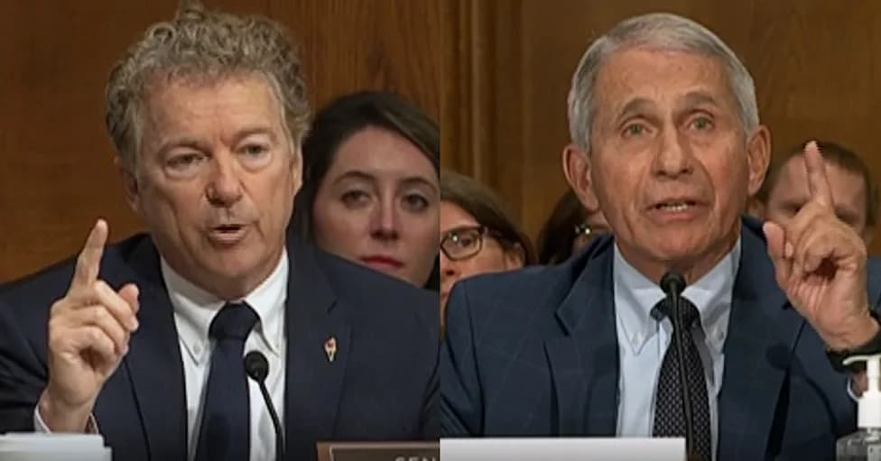Chef Joe Gera Fires Back at Rand Paul Over 'Fauci Ouchie' Meme: 'By All Means, Keep Bullsh*tting'