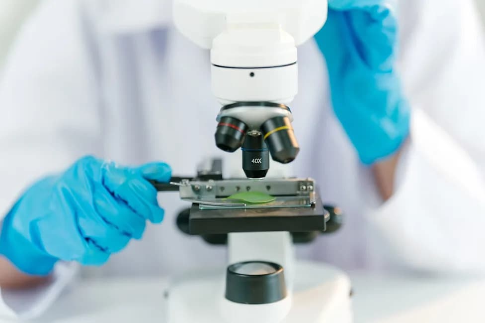 Utah College Lab Mix-Up: Students Mistake Harmless Bacterium for Deadly Pathogen, Prompting Antibiotics and Spinal Taps