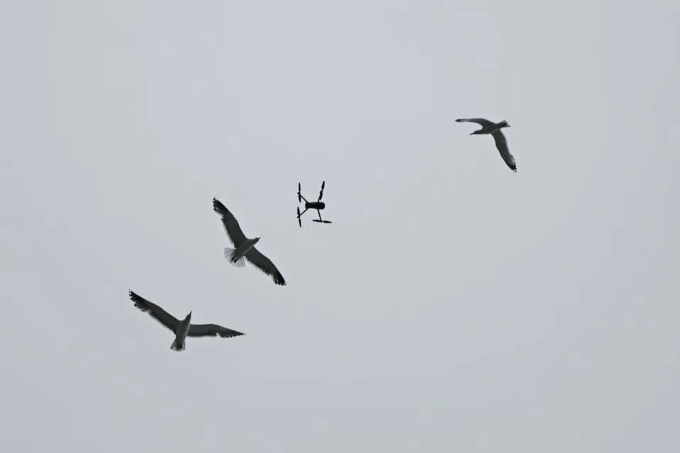 Washington National Guard Deploys AI-Powered Anduril System To Distinguish Drones From Birds