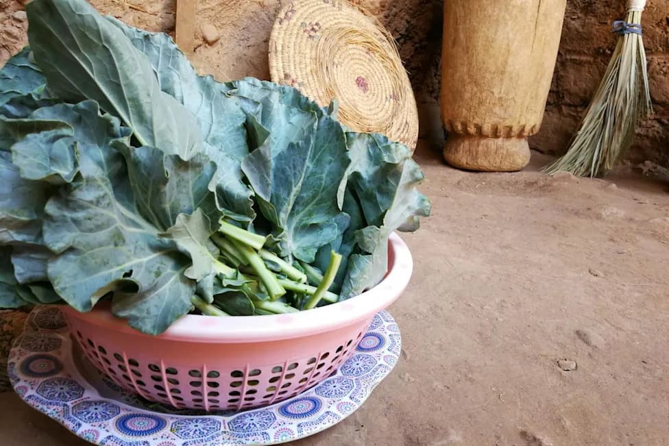 How Moroccan Oases, a 10th‑Century Cookbook and an Explorer’s Tale Reframe Collard Greens’ Journey to the U.S. South