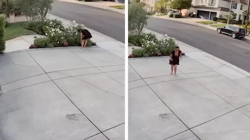 Rattlesnake Bites California Gardener While She Tends Roses — Poor Cell Reception Hampered 911 Call