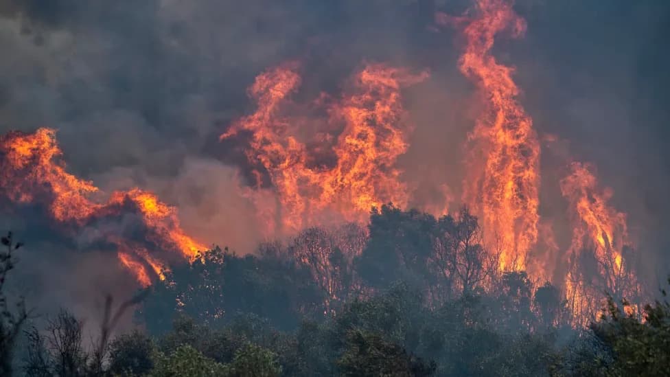 Wildfires Worsen in Europe and North America Even As Global Fire Emissions Fall