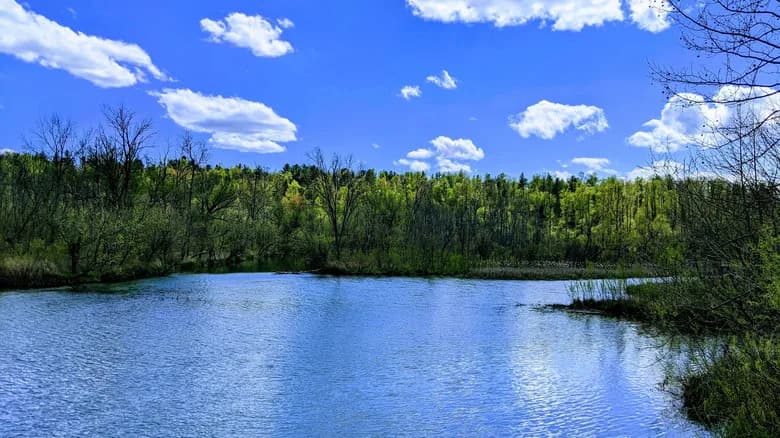 Ohio Opens 13,000 Acres of Egypt Valley Wildlife Area to Fracking, Sparking Outcry