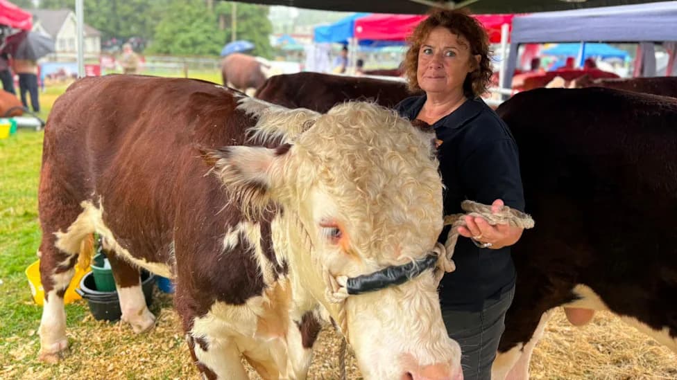 ‘You Can’t Describe The Loss’ — Northern Ireland Farmers Face Emotional and Financial Toll From Bovine TB