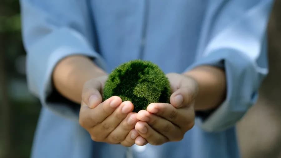 Climate Democracy: How Communities Can Lead the Response to Extreme Weather