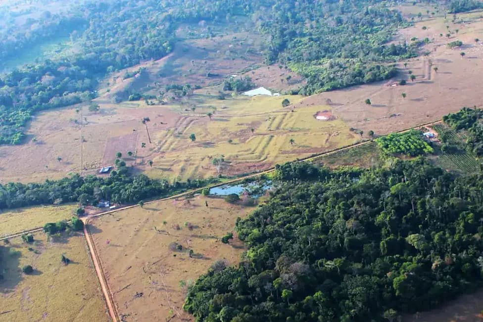 Lost Amazon Civilization Revealed: LiDAR Finds Geoglyph Network That May Have Supported Up To 3 Million People