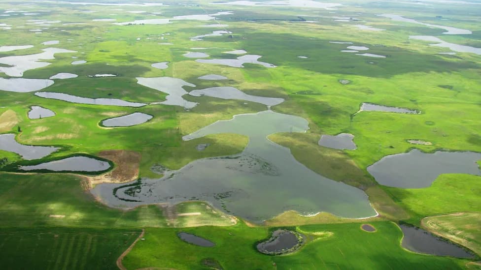 Waterfowl Coalition Urges Interior Secretary Burgum To Protect Prairie Pothole Easements