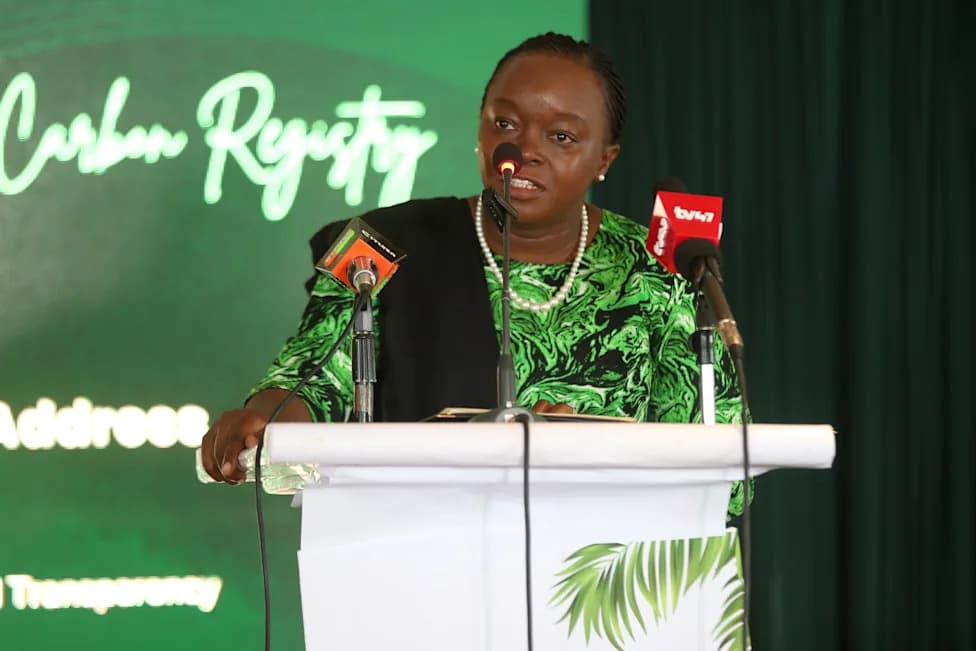 Kenya Issues Carbon Markets Rulebook and Caps International Carbon Credit Sales Through 2030