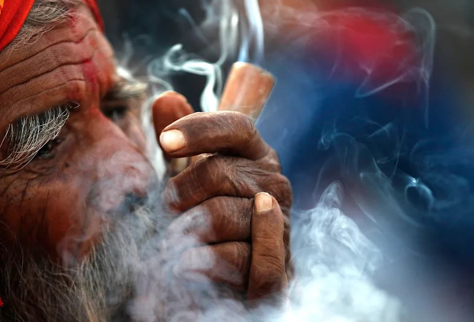 Gandaki Province Legalizes Medical Cannabis Farming Despite National Ban