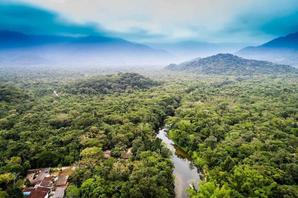 Lost Amazonian Civilization Unearthed: Nearly 400 Geometric Earthworks Reveal Sophisticated 'Aquiry' Society