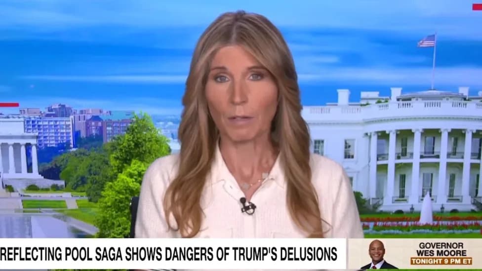 Nicolle Wallace Calls Trump’s Reflecting Pool Claims ‘Frankly Stupid’ — And ‘Still Very Dangerous’