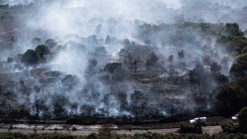 Dunwich Heath Appeal Raises £350,000 in Four Days After Devastating Wildfire