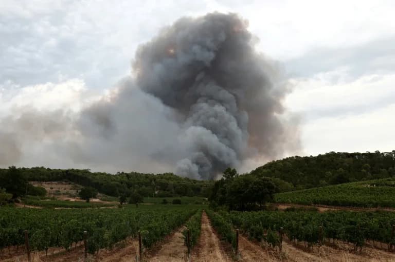 French Winemakers Fear Smoke-Tainted Rosé After Devastating Wildfires
