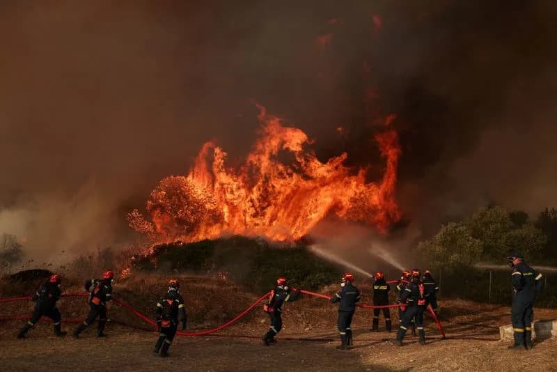 EU Urges Member States to Boost Nature Investments as Wildfire Costs Surge