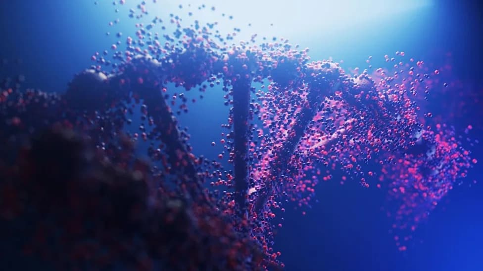 Beyond the Double Helix: Long-Read Sequencing Reveals Widespread 'Non-B' DNA in Humans and Apes