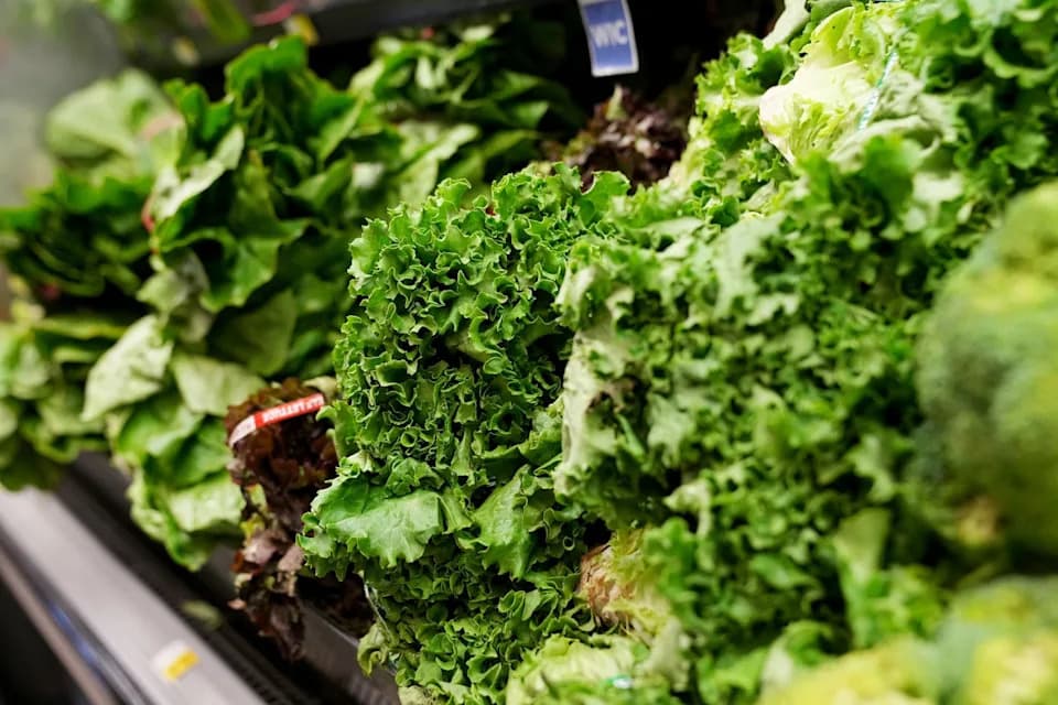 Michigan Says It’s Safe to Resume Eating Lettuce as Cyclosporiasis Cases Decline