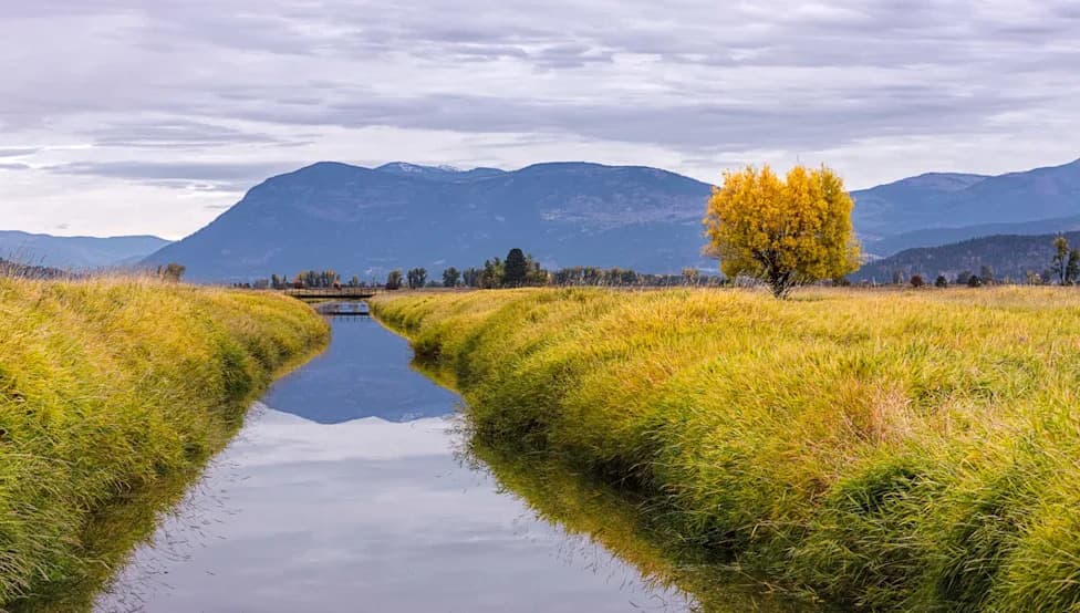 Idaho Shareholders Oust Canal Board After Secret 25-Year Wastewater Deal Sparks Outcry