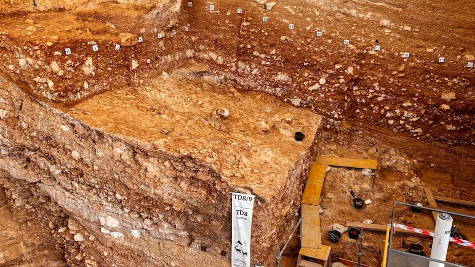 Spain Cave Find Rewrites View of Ancient Cannibalism — Adults, Not Just Children, Were Processed