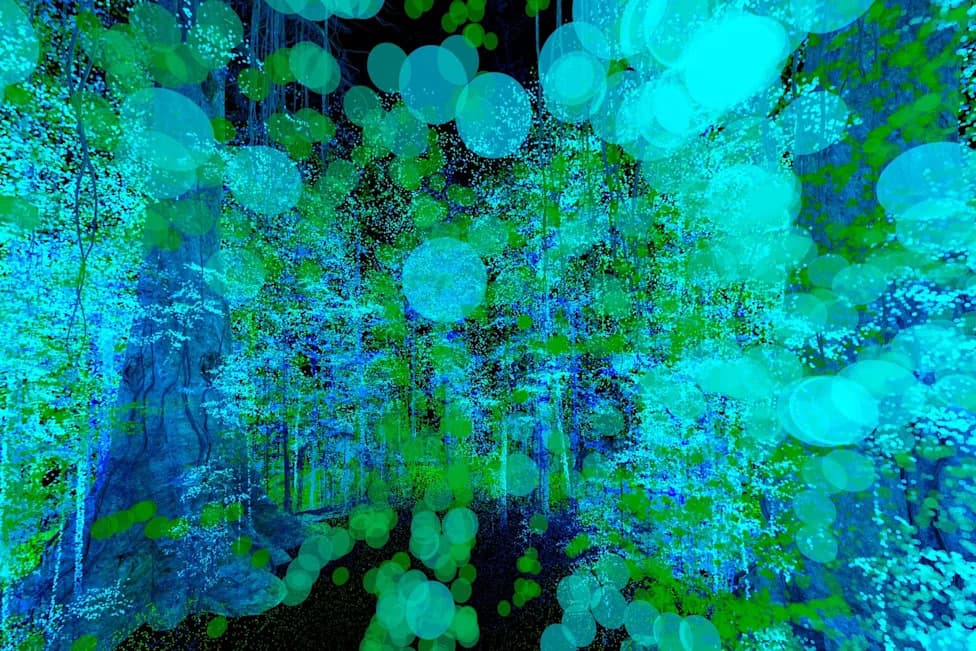 Lidar Reveals Massive Lost Amazonian Civilization — Pentagram-Shaped Earthworks and Millions of People