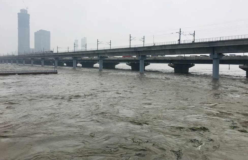 All Fish Sampled in the Yamuna Contain Microplastics — Delhi Stretch Worst Affected