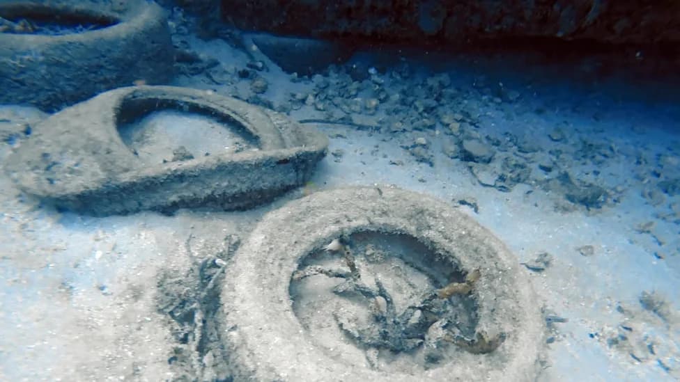 What Happened to the 2 Million Tires Sunk Off Florida in the 1970s? The Osborne Reef Disaster and Its Legacy
