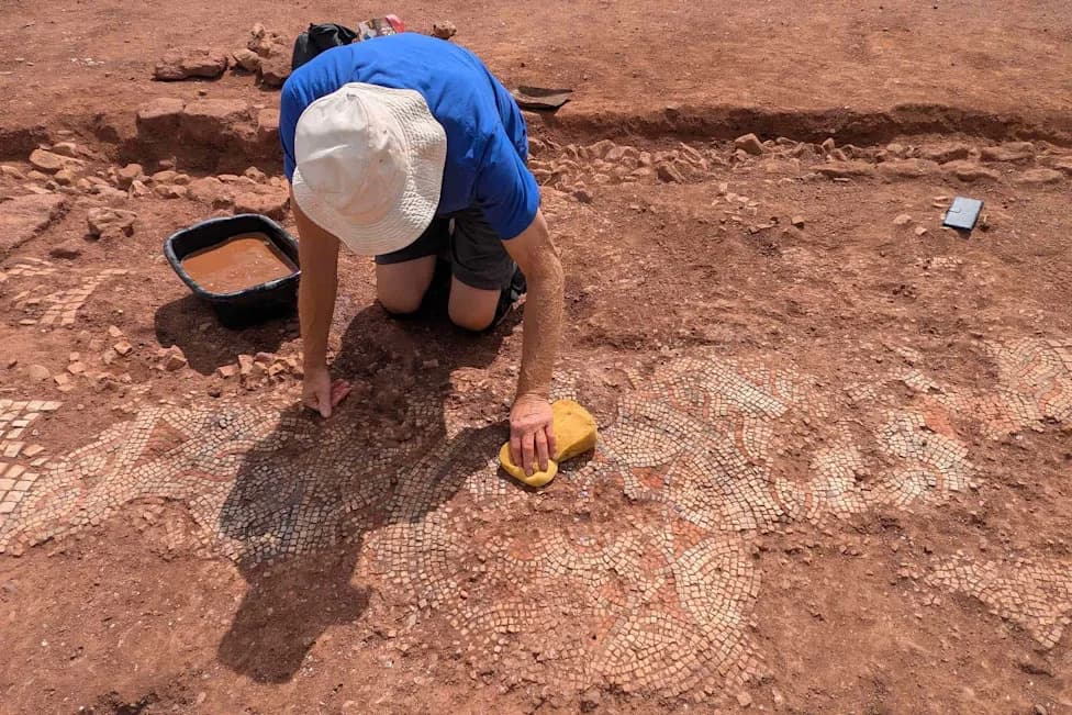 Stunning 1,600-Year-Old Roman Mosaic and Bathhouse Unearthed Under Devon Farmland