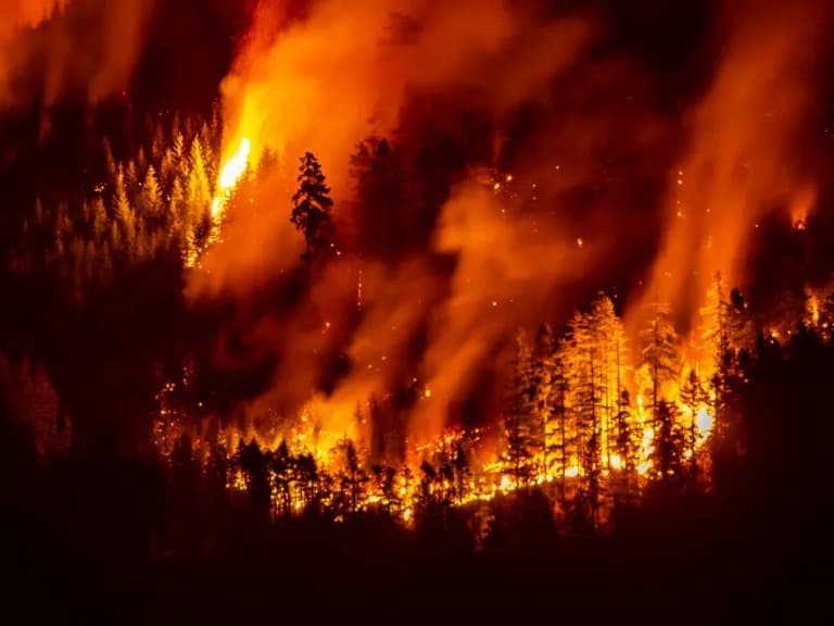 Canada Ramps Up Firefighting as Climate Change Fuels Record Wildfires