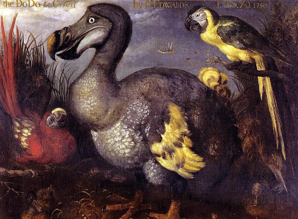 Inside the Not-So-Dumb Mind of the Dodo: New Scans Reveal Surprise Sensory Skills