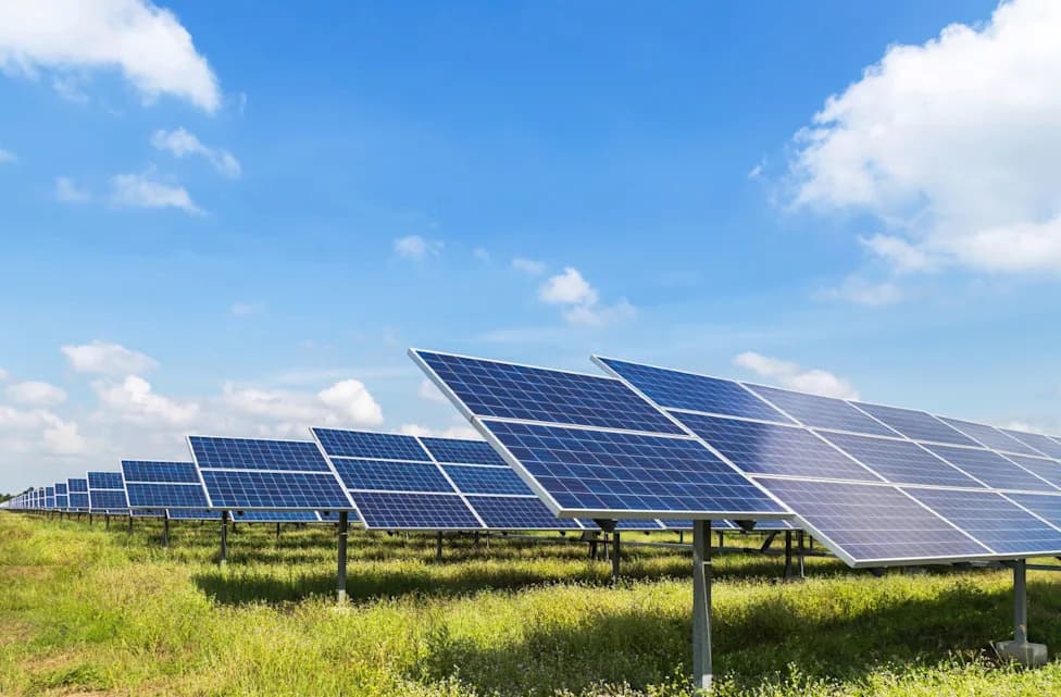Solar Shade Boosts Crops and Cash at Jack's Solar Garden