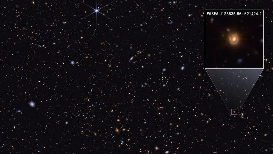 Little Red Dots Decoded: JWST Shows They May Be Distant Galactic Cores