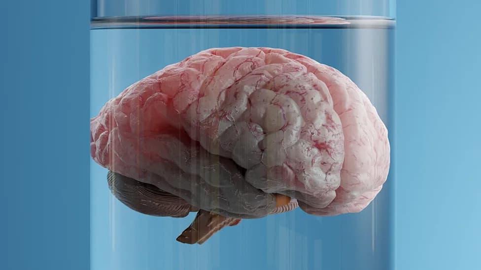 What If Consciousness Isn't Produced By The Brain? Christof Koch Suggests It Could Be Fundamental