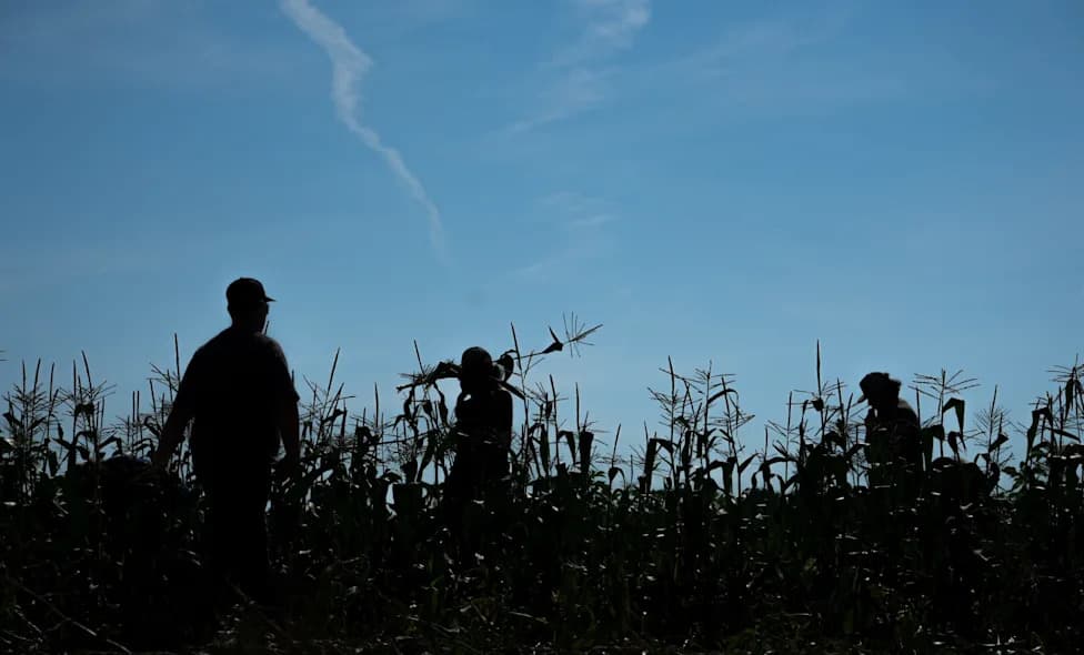 ‘Forever Chemicals’ on Indiana Farmland: How PFAS From Biosolids Reach Fields and Waterways
