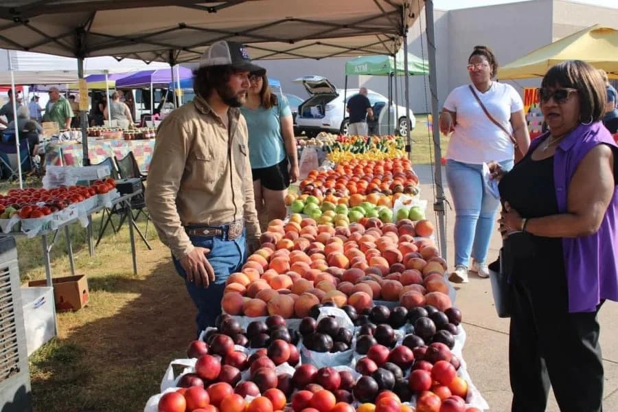 Farmers' Markets Draw Bigger Crowds As Shoppers Avoid Supermarket Produce After Outbreaks