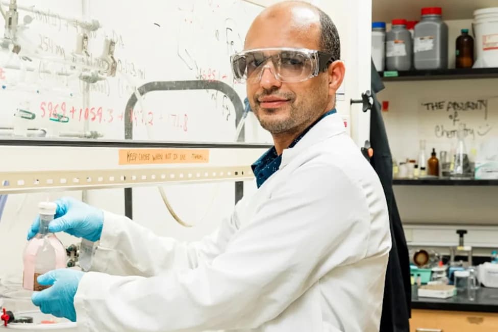 Florida Team Turns Rice Husk Waste Into Reusable Filter That Captures Textile Dyes