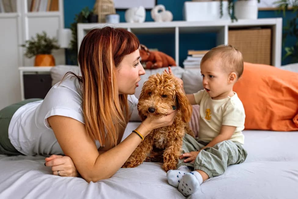 CRISPR-Edited Beagles Lack Detectable Major Allergen — Promising but Not Allergy-Free