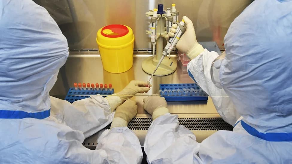 AI Designs Functional Synthetic Viruses — Raises Urgent Biosecurity and Detection Concerns