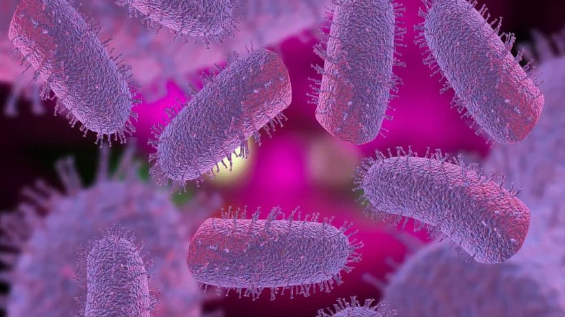 Rabies Lab Accident: How a 1977 Exposure Shaped Biosafety and Federal Liability