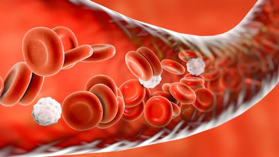 Cholesterol Filter May Also Remove Some PFAS And Microplastics From Blood, Small Study Finds