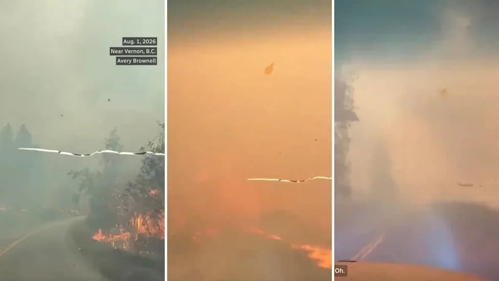 “Thankful to Be Alive”: Harrowing Video Shows Last-Minute Escape From Bradley Creek Wildfire