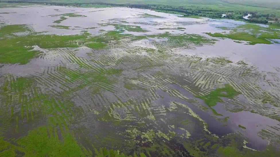 Family Cooperatives, Not Chiefs: How Colombia’s La Mojana Built Vast Ancient Waterworks